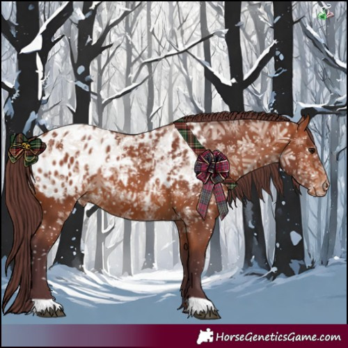 Horse Color:Chocolate Bay Appaloosa 