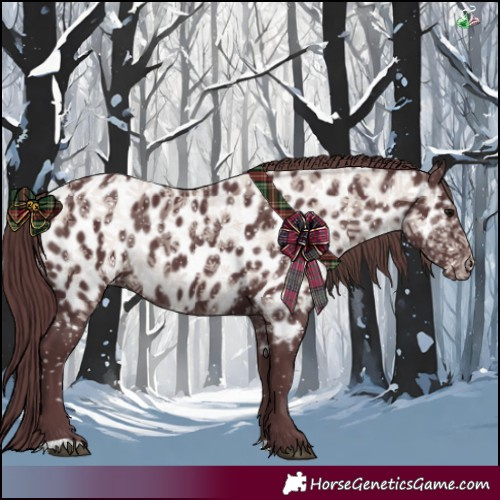 Horse Color:Chocolate Black Near Leopard 