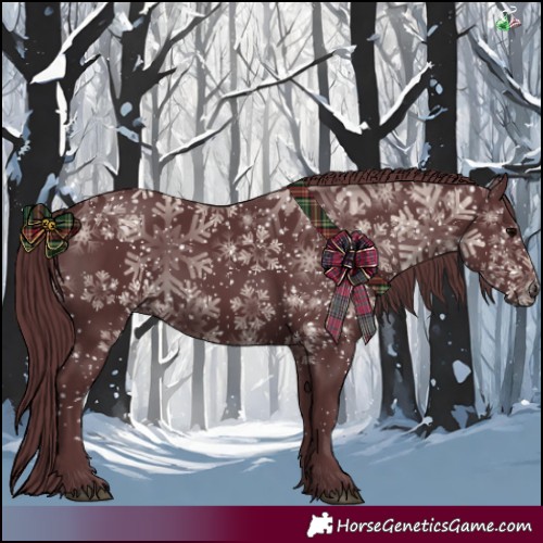 Horse Color:Chocolate Black