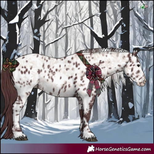 Horse Color:Chocolate Black Near Leopard 