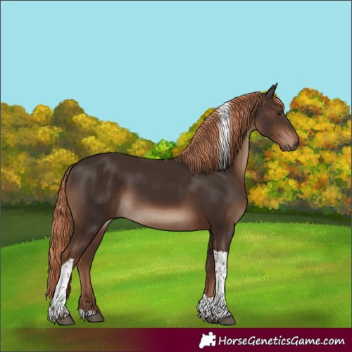 Horse Color:Liver Chestnut Tobiano Rabicano