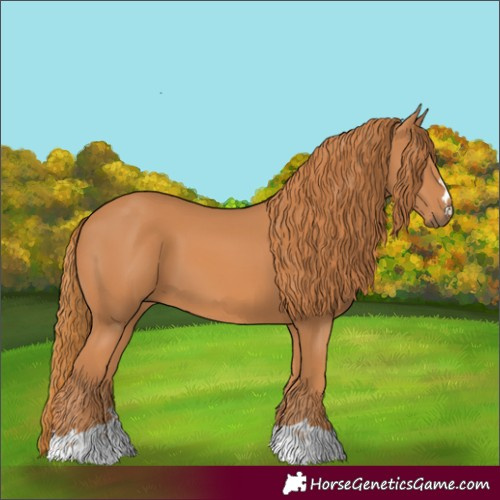 Horse Color:Chestnut 