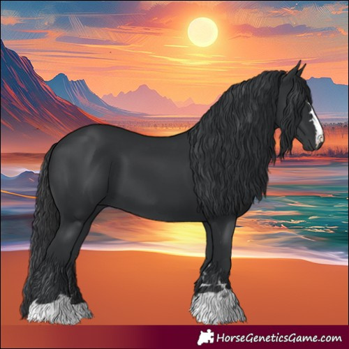 Horse Color:Black 