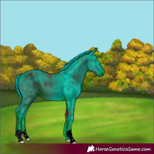Horse Color:ERROR: UNKNOWN ANOMALY