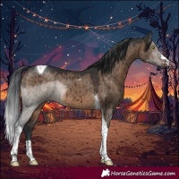 Horse Color:Brown Dun Tobiano Brindle 