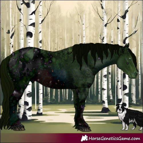 Horse Color:ERROR: UNKNOWN ANOMALY