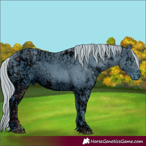 Horse Color:ERROR: UNKNOWN ANOMALY