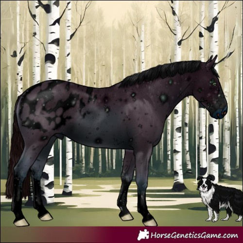 Horse Color:ERROR: UNKNOWN ANOMALY