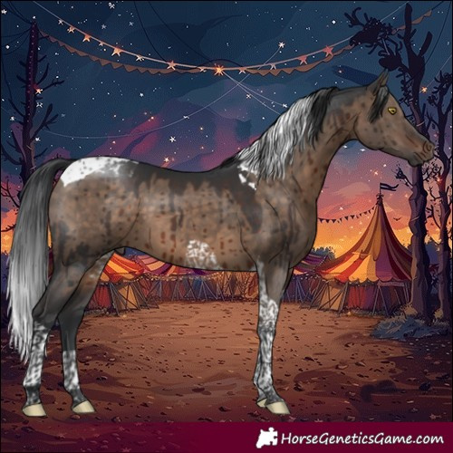 Horse Color:Brown Dun Tobiano Brindle 