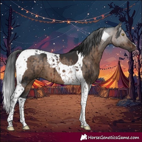 Horse Color:Brown Dun Tobiano Brindle