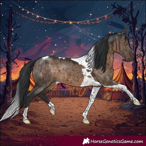 Horse Color:Brown Dun Tobiano Brindle