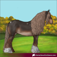 Horse Color:Liver Chestnut Tobiano Rabicano 