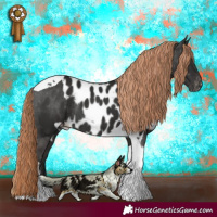 Horse Color:Liver Chestnut Tobiano Skewed Appaloosa Rabicano 