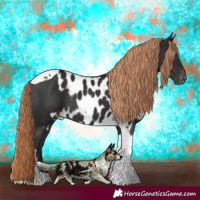 Horse Color:Liver Chestnut Tobiano Skewed Appaloosa Rabicano