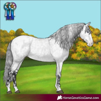 Horse Color:Bay Chinchilla Tobiano Blanket 