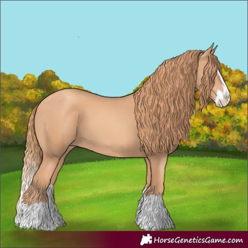 Horse Color:Gold Champagne Splash 