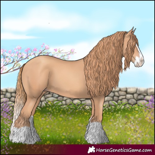 Horse Color:Gold Champagne Splash 