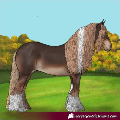 Horse Color:Liver Chestnut Tobiano Rabicano 