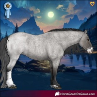 Horse Color:Grullo Roan Sabino Rabicano