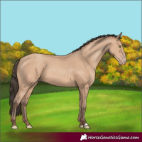 Horse Color:Amber Champagne 