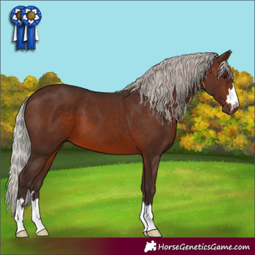 Horse Color:Silver Brown 