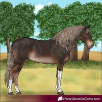 Horse Color:Liver Chestnut Tobiano Rabicano 