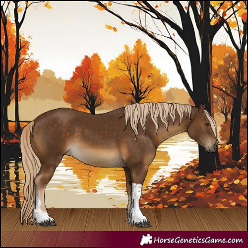 Horse Color:Chocolate Palomino Tobiano Rabicano 