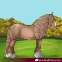Horse Color:Liver Chestnut Pearl Rabicano