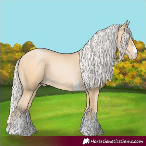 Horse Color:Silver Buckskin Pearl Rabicano 