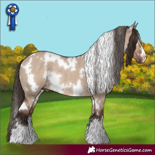 Horse Color:White Spotted Liver Red Dun Rabicano 
