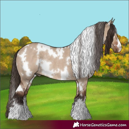 Horse Color:White Spotted Liver Red Dun Rabicano 