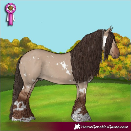 Horse Color:White Spotted Liver Red Dun Rabicano 