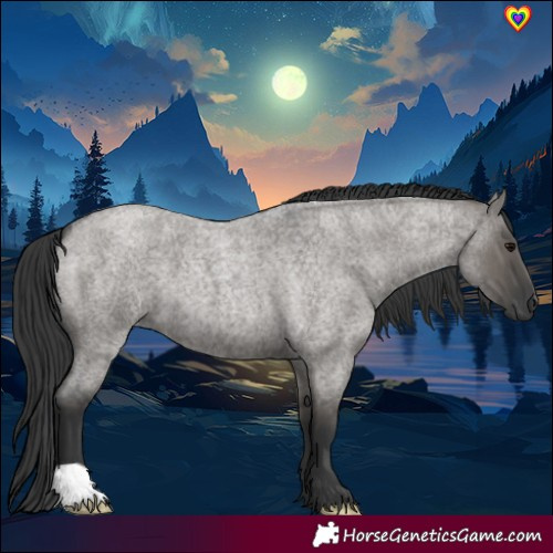 Horse Color:Grullo Roan 