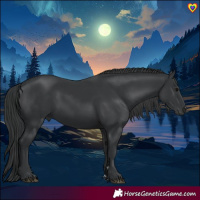 Horse Color:Black 