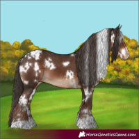 Horse Color:White Spotted Liver Chestnut Varnish