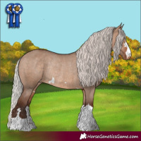Horse Color:Silver Brown Dun Varnish Rabicano 