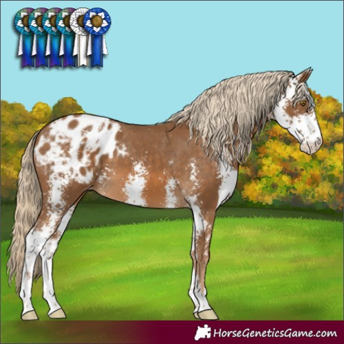 Horse Color:Chocolate Palomino Sabino Varnish 