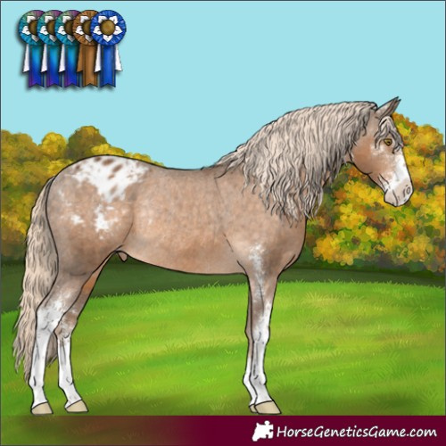 Horse Color:Chocolate Palomino Sabino Varnish Rabicano 