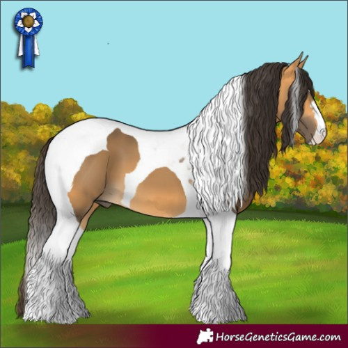 Horse Color:Buckskin Tobiano 