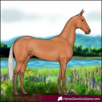 Horse Color:Silver Bay