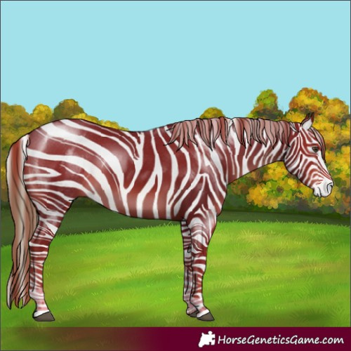 Horse Color:Liver Chestnut Tobiano Rabicano 