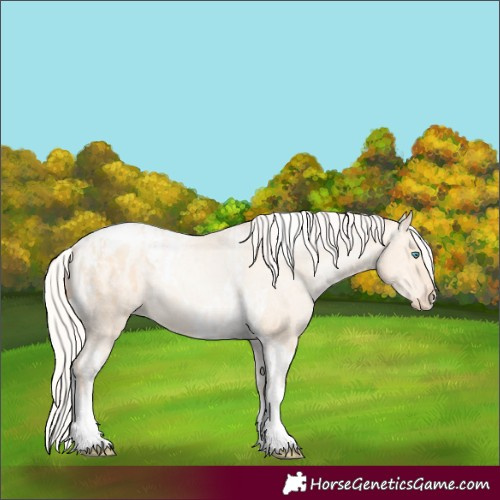 Horse Color:Silver Amber Champagne Pearl Dun Tobiano Blanket Rabicano  and Silver Amber Champagne Pearl Dun Tobiano Blanket Rabicano 