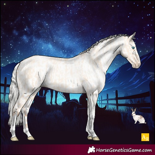 Horse Color:Silver Amber Champagne Pearl Dun Tobiano Appaloosa Rabicano  and White Spotted Silver Amber Champagne Pearl Dun Tobiano Appaloosa Rabicano 