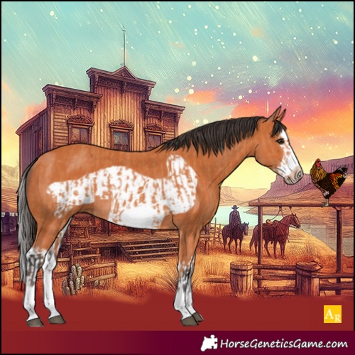 Horse Color:Bay Splash Frame and Bay Splash Frame