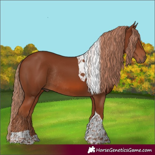 Horse Color:Chestnut Tobiano Rabicano