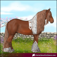 Horse Color:Chestnut Tobiano Rabicano 