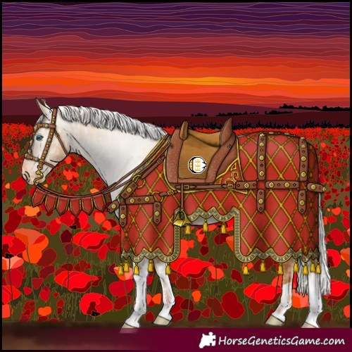 Horse Color:Silver Amber Champagne Pearl Dun Tobiano Appaloosa Rabicano  and Gray Silver Amber Champagne Pearl Dun Tobiano Appaloosa Rabicano 