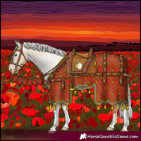 Horse Color:Silver Amber Champagne Pearl Dun Tobiano Appaloosa Rabicano  and Gray Silver Amber Champagne Pearl Dun Tobiano Appaloosa Rabicano 