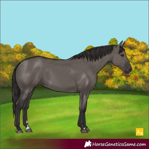 Horse Color:Smoky Grullo 