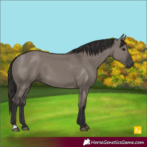 Horse Color:Smoky Grullo 